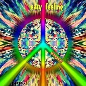 Meet your Posher, Ann